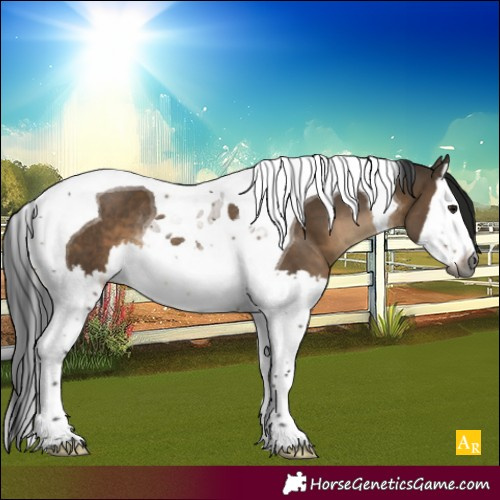 Horse Color:Gray Brown Dun Sabino Splash Tobiano Rabicano