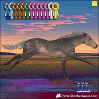 Horse Color:Silver Smoky Black
