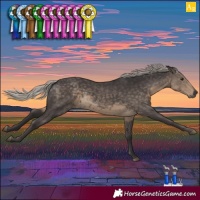 Horse Color:Silver Smoky Black 