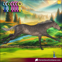 Horse Color:Silver Smoky Black