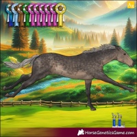 Horse Color:Silver Smoky Black 