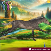 Horse Color:Silver Smoky Black 