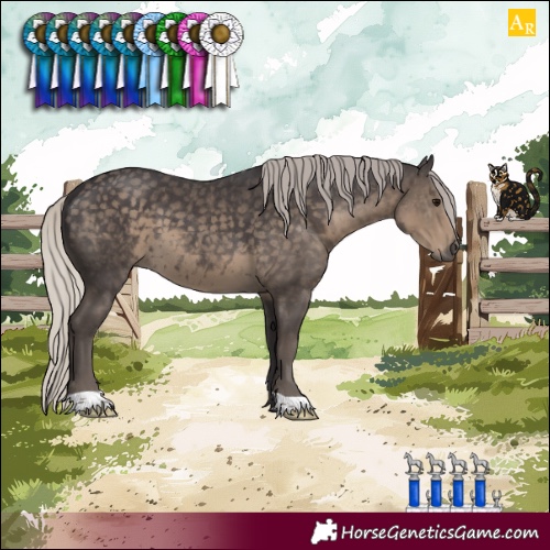 Horse Color:Silver Smoky Black 