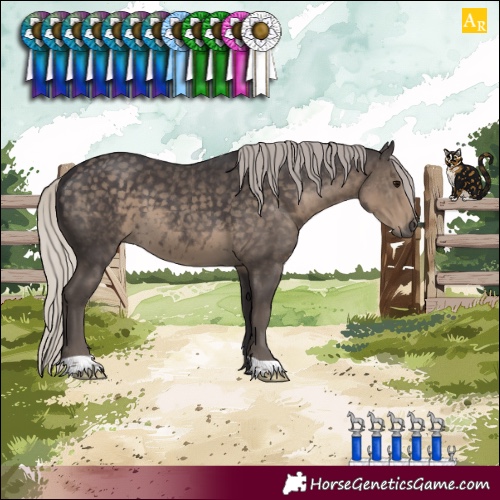 Horse Color:Silver Smoky Black 