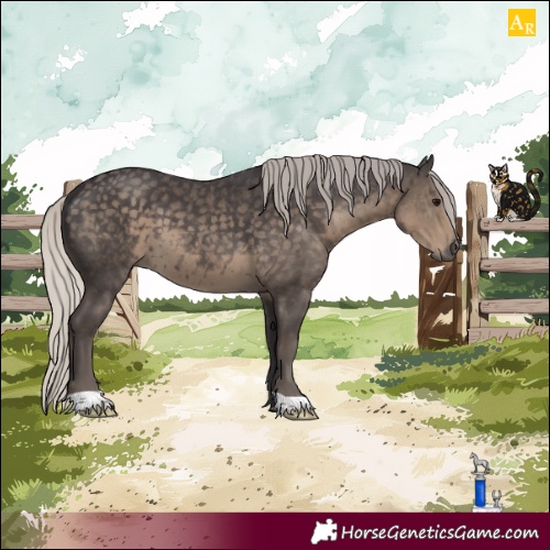 Horse Color:Silver Smoky Black