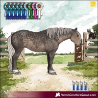 Horse Color:Silver Smoky Black 