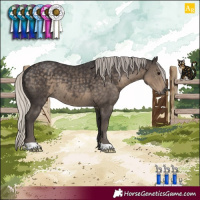 Horse Color:Silver Smoky Black 