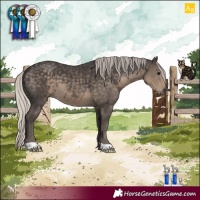 Horse Color:Silver Smoky Black 