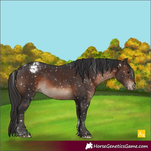 Horse Color:Brown Tobiano Snowcap 