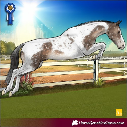 Horse Color:Brown Dun Tobiano Snowcap Brindle 