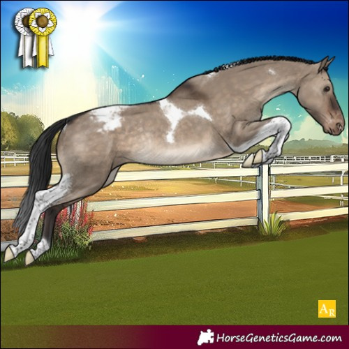 Horse Color:Brown Dun Tobiano Snowcap Rabicano
