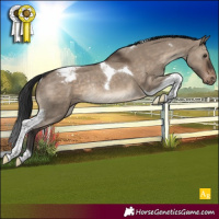 Horse Color:Brown Dun Tobiano Snowcap Rabicano