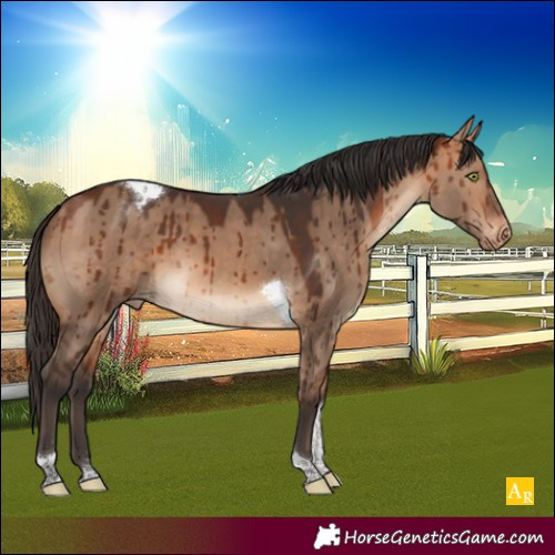 Horse Color:Bay Dun Tobiano Varnish Brindle 