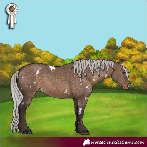 Horse Color:White Spotted Silver Brown Dun Skewed Appaloosa 