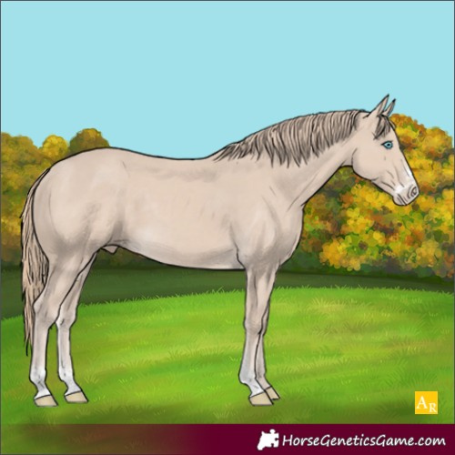 Horse Color:Smoky Creme Sabino 