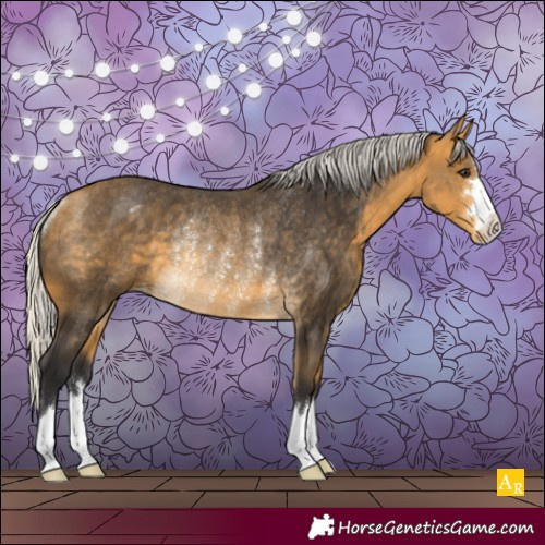 Horse Color:Silver Buckskin Appaloosa Rabicano