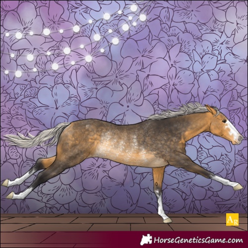 Horse Color:Silver Buckskin Appaloosa Rabicano 
