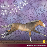 Horse Color:Silver Buckskin Varnish Rabicano