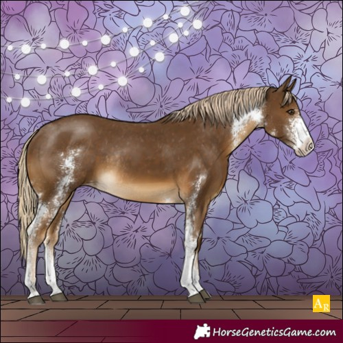 Horse Color:Chocolate Palomino Sabino Appaloosa Rabicano 