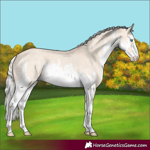 Horse Color:White Spotted Silver Perlino Dun 