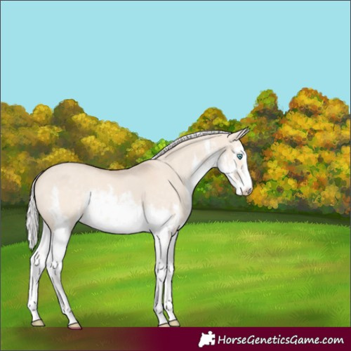 Horse Color:White Spotted Silver Perlino Dun 