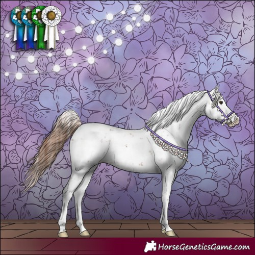 Horse Color:Chestnut Sabino Splash Blanket 