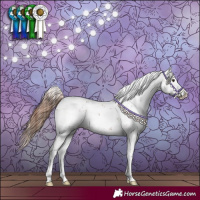 Horse Color:Chestnut Sabino Splash Blanket