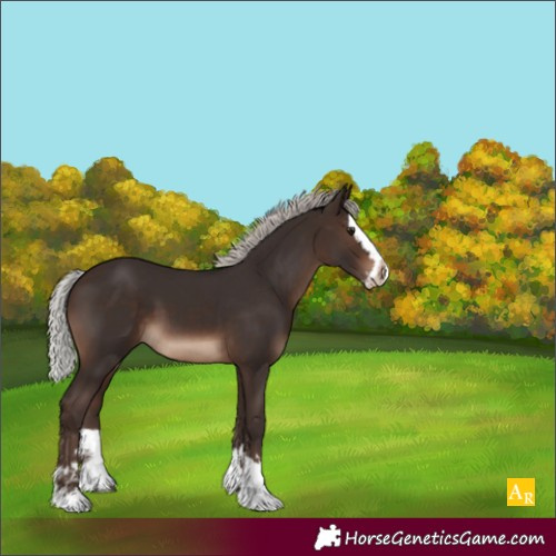 Horse Color:Silver Brown Splash 
