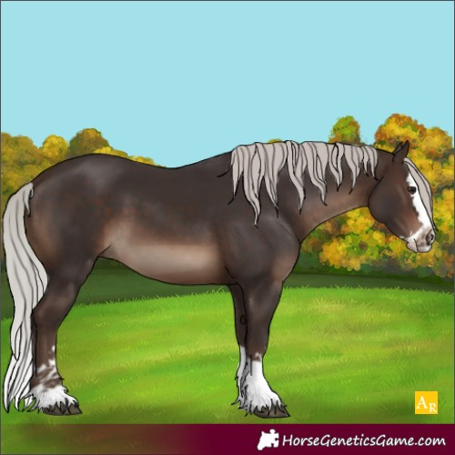 Horse Color:Silver Brown Splash