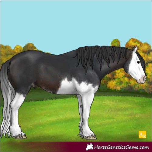 Horse Color:Brown Splash Varnish