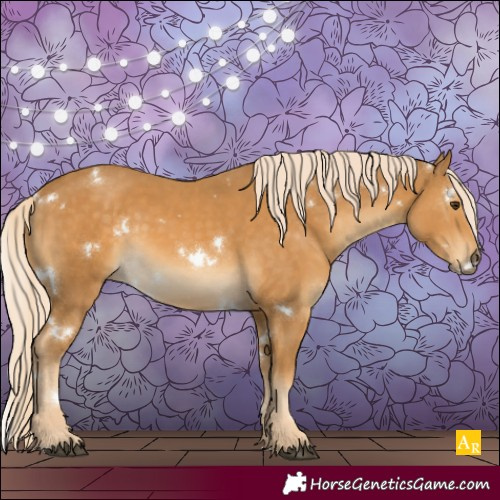 Horse Color:White Spotted Palomino
