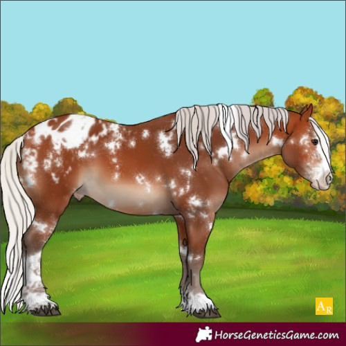 Horse Color:White Spotted Silver Bay Sabino Blanket