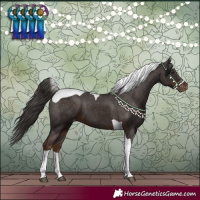 Horse Color:Liver Chestnut Tobiano Varnish 