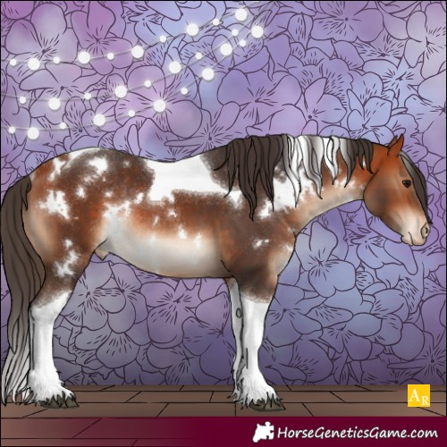 Horse Color:White Spotted Bay Tobiano Appaloosa Rabicano 