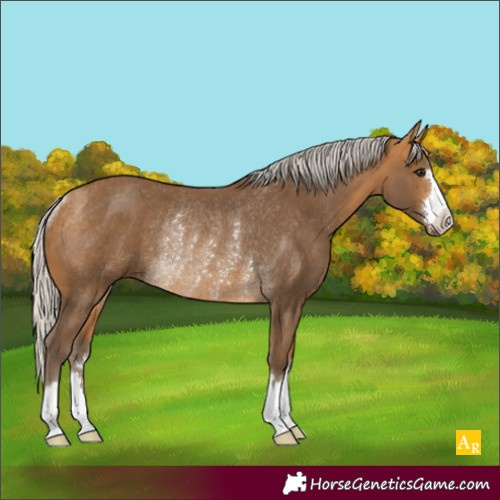 Horse Color:Silver Buckskin Rabicano 