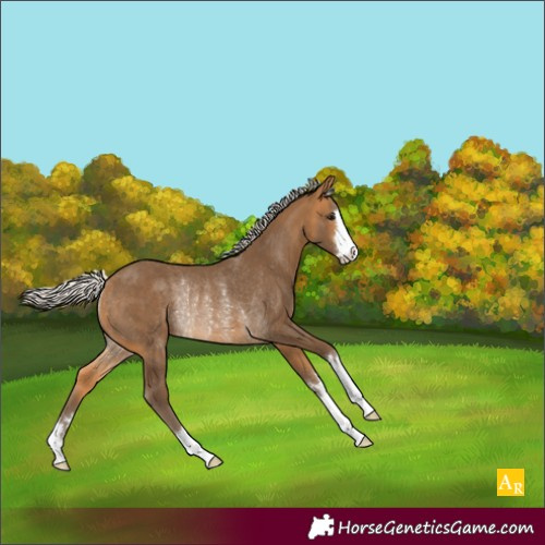 Horse Color:Silver Buckskin Rabicano 