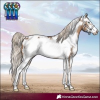 Horse Color:Chocolate Palomino Sabino Frame Blanket 
