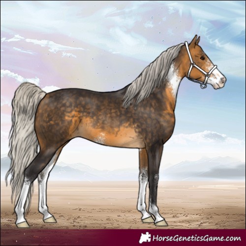 Horse Color:Silver Buckskin Sabino