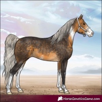 Horse Color:Silver Buckskin Sabino