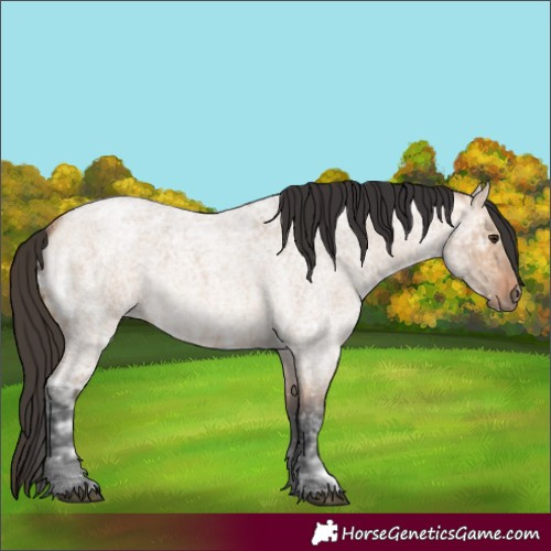 Horse Color:Bay Ice Roan Dun 