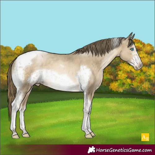Horse Color:Smoky Black Pearl Sabino Tobiano Frame