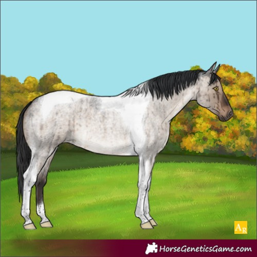Horse Color:Brown Roan Dun Tobiano Brindle 