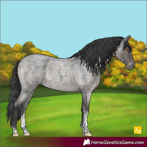 Horse Color:Grullo Roan Tobiano Varnish Brindle 