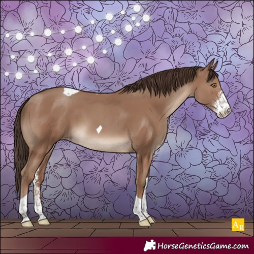 Horse Color:Classic Champagne Sabino Tobiano