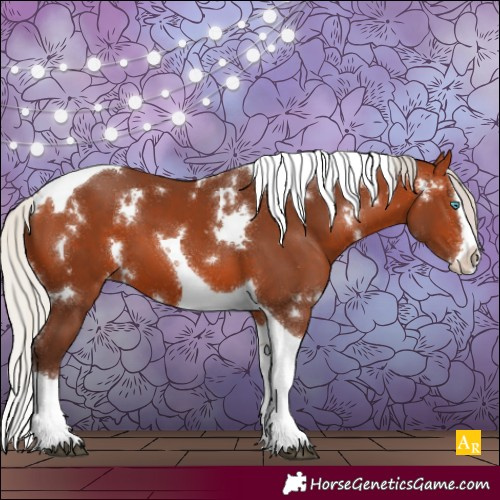 Horse Color:White Spotted Silver Bay Splash Tobiano Appaloosa