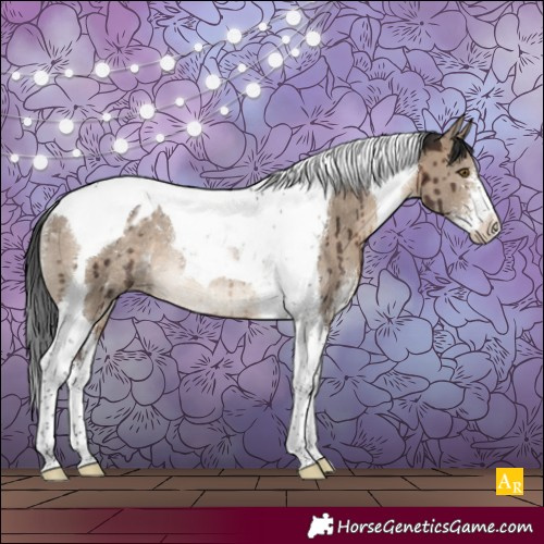 Horse Color:Brown Dun Sabino Tobiano Appaloosa Rabicano Brindle 
