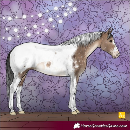 Horse Color:Brown Dun Tobiano Snowcap 