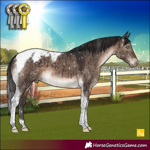 Horse Color:Brown Dun Mushroom Tobiano Snowcap Brindle 