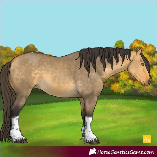 Horse Color:Buckskin Dun Tobiano 