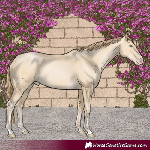 Horse Color:Smoky Black Pearl 